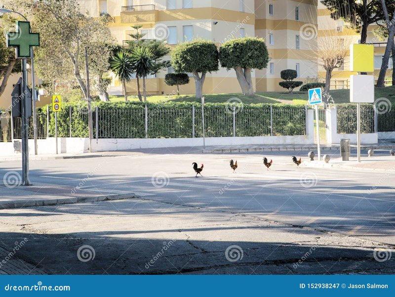 Descubre el Juego de Azar de Chicken Road en España con Nuevas Ofertas - overview
